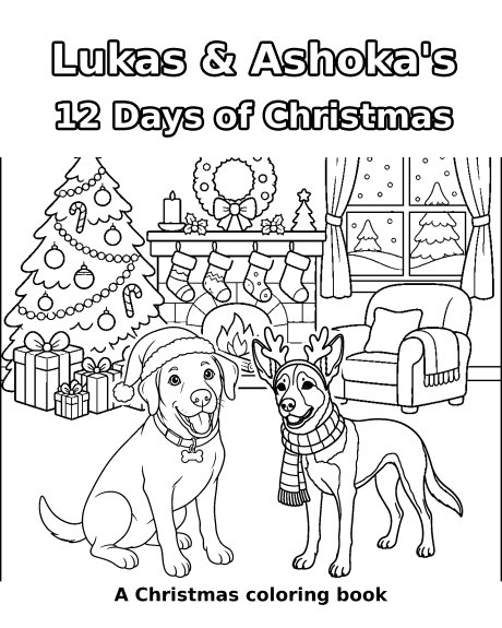 12 Days of Christmas coloring book cover