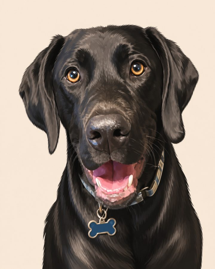 Modern Illustrated Portrait portrait of Lukas, a black lab