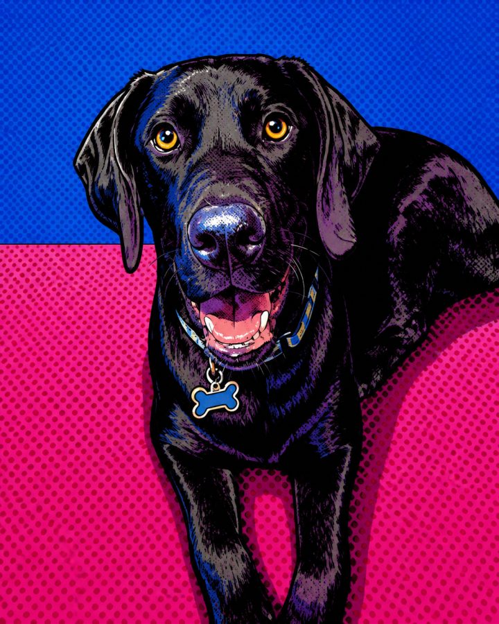 Pop Art portrait of Lukas, a black lab